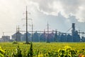 Grain elevator for processing and storage of grain is located in the sunflower field Royalty Free Stock Photo