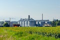 Grain elevator for processing and storage of grain is located in the sunflower field Royalty Free Stock Photo