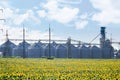 Grain elevator for processing and storage of grain is located in the sunflower field Royalty Free Stock Photo