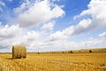 Grain field - autumn landscape Royalty Free Stock Photo