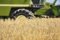 Grain Field with Combine Harvester at Work Royalty Free Stock Photo