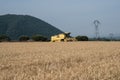 Grain field in the foreground in Provence with combine in the ba