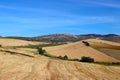 Grain field in front of mountain range under blue skies, Andalusia, Spain Royalty Free Stock Photo