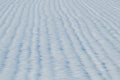 Grain field snow covered. Agriculture field under snow Royalty Free Stock Photo