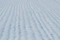 Grain field snow covered. Agriculture field under snow Royalty Free Stock Photo