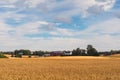 Grain fields of Toten, Norway Royalty Free Stock Photo
