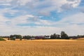 Grain fields of Toten, Norway