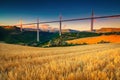 Grain fields with viaduct of Millau at sunset, Aveyron, France