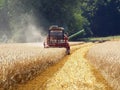 Grain harvest