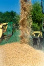 Grain harvester combine discharging grain Royalty Free Stock Photo