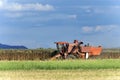 Grain harvester combine to work Royalty Free Stock Photo