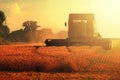 Grain harvester combine on wheat field