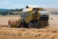 Grain harvester combine work in field Royalty Free Stock Photo