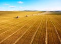 Combine harvesters agricultural machines collecting golden wheat on the field. View from above. Royalty Free Stock Photo