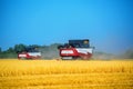 Grain harvesting combines work in wheat field