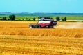 Grain harvesting combines work in wheat field