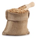 Grain oats in burlap bag with a wooden scoop isolate