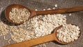 Grain of oats, oat flakes, wooden spoons, composition on canvas