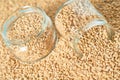 Grain of pearl barley poured out of jar Royalty Free Stock Photo