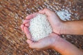 Grain of rice in the hands farmer, rice white grain in handful, organic rice of asia