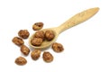 Grain roasted peanuts in a wooden spoon