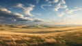 grain russian steppe winds Royalty Free Stock Photo