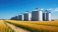 grain silo farm Royalty Free Stock Photo