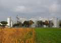 Grain silos behind a row of trees and a field divided between the yellow of autumn cultivations and the green grass Royalty Free Stock Photo