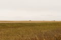 Grain silos on the prairie horizon