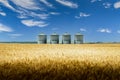 Grain silos overlooking a barley field before harvest on a Canadian prairie landscape in Rocky View County Alberta Canada