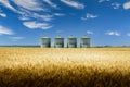 Grain silos overlooking barley field before harvest on the Canadian prairie landscape in Rocky View County Alberta Canada Royalty Free Stock Photo