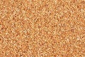 Grain sorghum Royalty Free Stock Photo