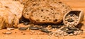 Grain and spelta bread with cereals 1 Royalty Free Stock Photo