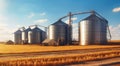 Grain Storage Excellence Silos and Tanks in Farming Scene