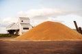 Grain storage silos. Harvest concept. Hill of grain, wheat, rye, barley, corn, rape, etc. Granary with mechanical equipment Royalty Free Stock Photo