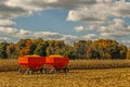 Grain Wagons Loaded With Maize