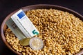 Grain of wheat in a bowl with europian currency