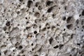 Grained coastal limestone texture with erosion holes. Weathered natural sea stone background for your design