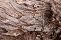 Grained wood Royalty Free Stock Photo