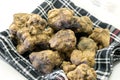 Grains of Alba white truffle Royalty Free Stock Photo