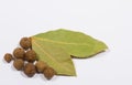 Grains of allspice and bay leaf isolated on white Royalty Free Stock Photo