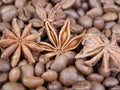 Anisetree in coffee Royalty Free Stock Photo