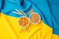 Grains of corn and wheat on the blue and yellow flag of Ukraine. The whitest exporter of food in Europe, the world crisis due to