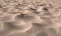 Grains of desert sand from dunes on windy beach in nature with copyspace. Closeup of scenic landscape outdoors with