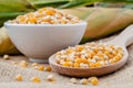 Grains of dried corn in the wooden spoon with dried sweet corn o Royalty Free Stock Photo