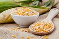 Grains of dried corn in the wooden spoon with dried sweet corn o Royalty Free Stock Photo