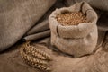 Grains and ears of wheat on Kraft paper and burlap Royalty Free Stock Photo