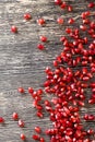 grains of ordinary red pomegranate