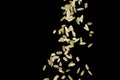 Grains of rice falling isolated Royalty Free Stock Photo