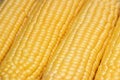 Grains of ripe corn close up Royalty Free Stock Photo